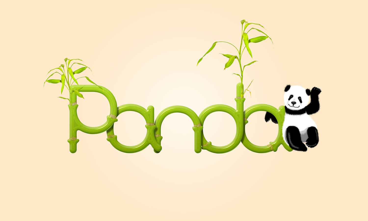 Panda Kollektion